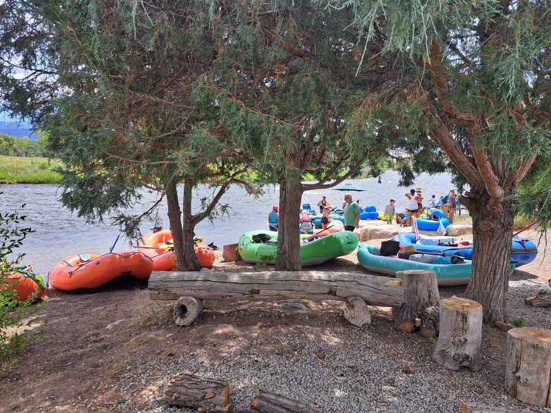 a group of people sitting in a garden